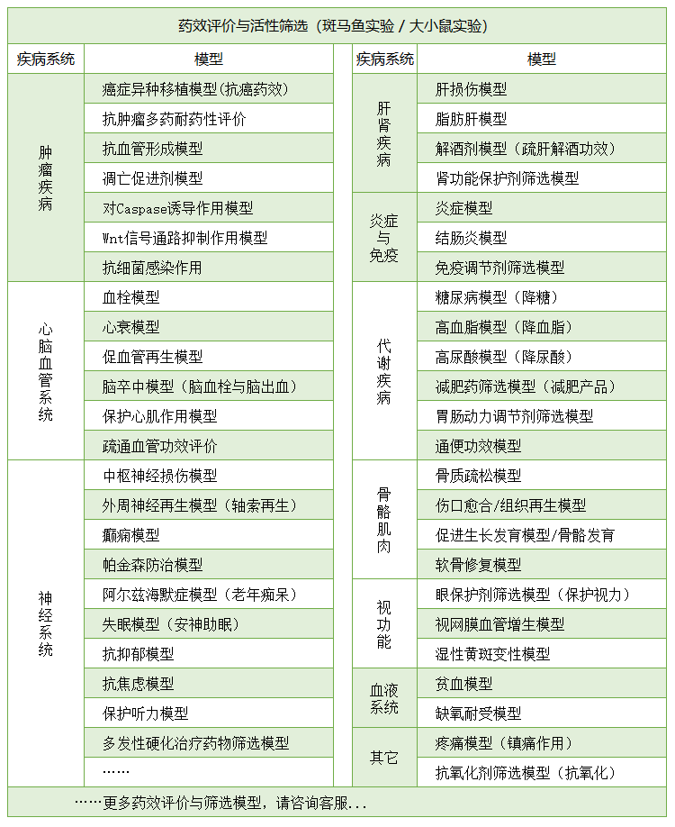 药效评价与活性筛选模型