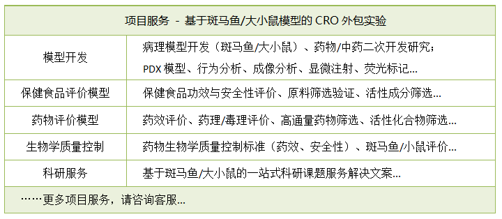 基于斑马鱼大小鼠模型的CRO外包实验